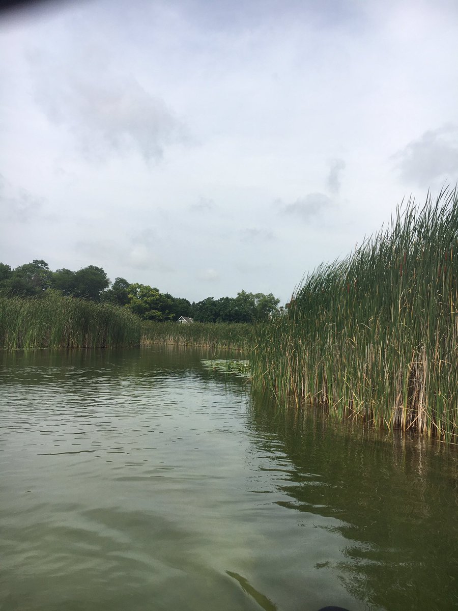 sashalovesadele's tweet photo. 4 hours of kayaking yesterday #everythinghurts https://t.co/TmucEAUgTq