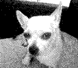 AlphaHGW's tweet image. 2 neue Bilder und ich bin noch immer verliebt darin, Bilder von der GameBoy Camera auf meinem Rechner ziehen zu können. 

#GB01CartReader 
#submodule 
#GameBoyCamera 
#GameBoy 
#GameBoyClassic
#Retro 
#RETROGAMING