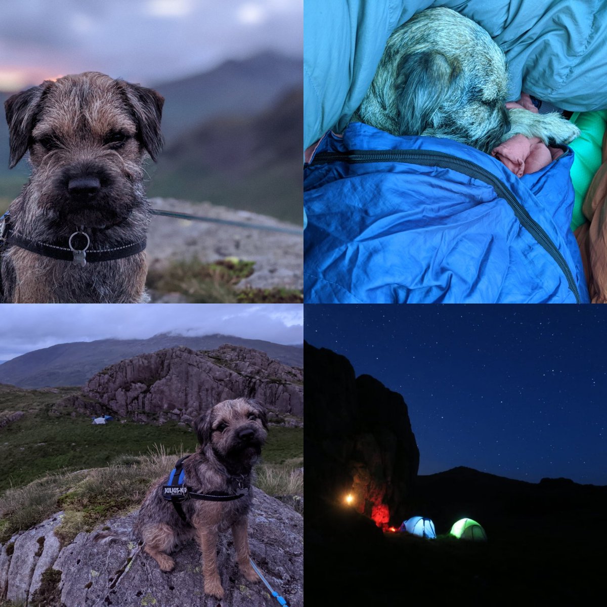 BeckyRowbo's tweet photo. @Mounta1n_Mike @SaintToffee89 @glocky9 @keswickbootco @Catstycam @TheLakesMike @ApparelGyow @janslss @blis_sox @BrookinKath @AW_archivist @CumbrianRambler @herdwick_gal @JohnGal_luvlife @louisdad @mountainsandsky @PeterLazzari1 @Rambler_Jan @thetwigpenpeopl And Freddie's first! 😍🐾 https://t.co/xHU02HIURr