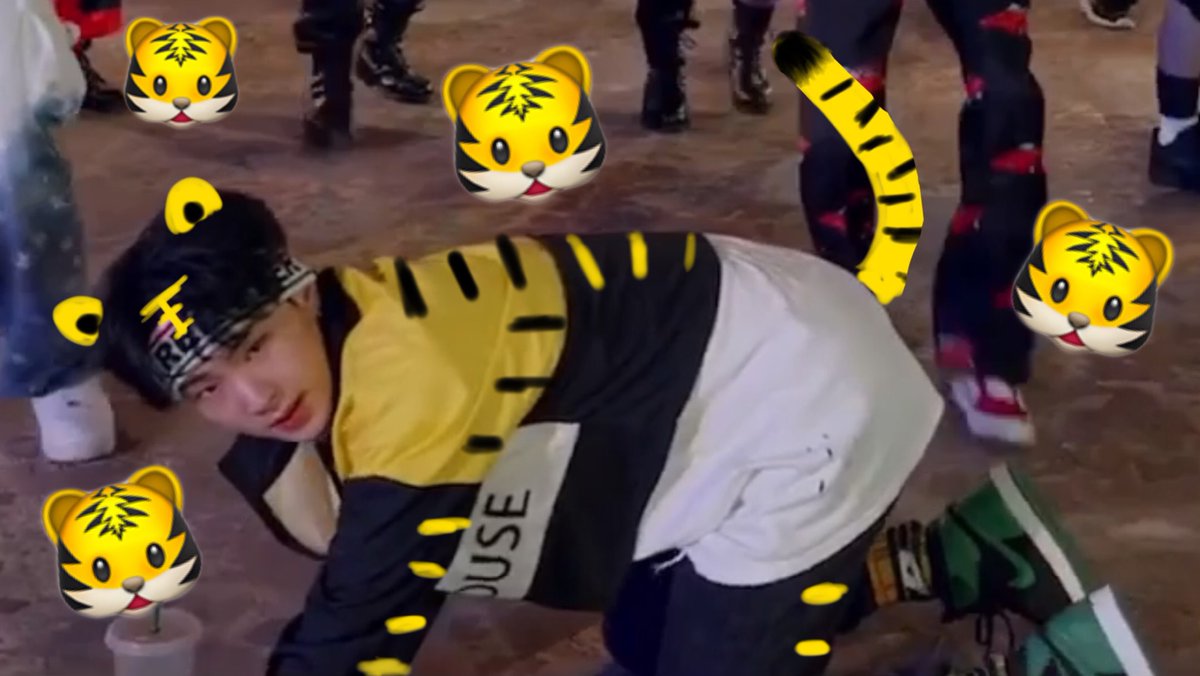pocketksy's tweet photo. 🐯 https://t.co/3l2b8MhDsj