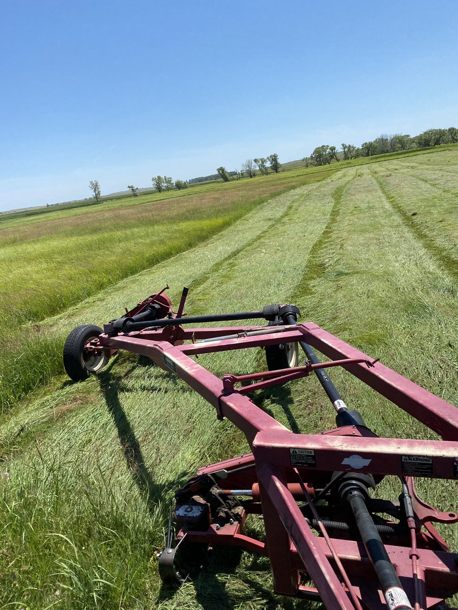 Life is about change, but on the other hand mowing hay isn’t.....