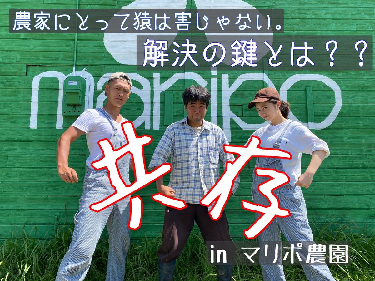 nogyozensho's tweet photo. #まりぽ農園 で農家の古木さんにお話を伺ってきました！
猿と話せる古木さん…。どんな世界でも生きていけそうです！
是非ご覧ください！

#八百屋 #旬世 #世田谷 #農業

https://t.co/I0iqmwGjep https://t.co/UFGWjztWoO