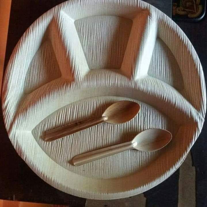 vasudev13051976's tweet photo. Respected sir I am the registered exporter manufacturer and also domestic provider of biodegradable nature friendly arecanut leaf plate. Which is completely Eco friendly and one can use these plates for lunch breakfast please support
 vasudhapai19071991@gmail.com
M 7829313304 https://t.co/fnUmR8S4fu