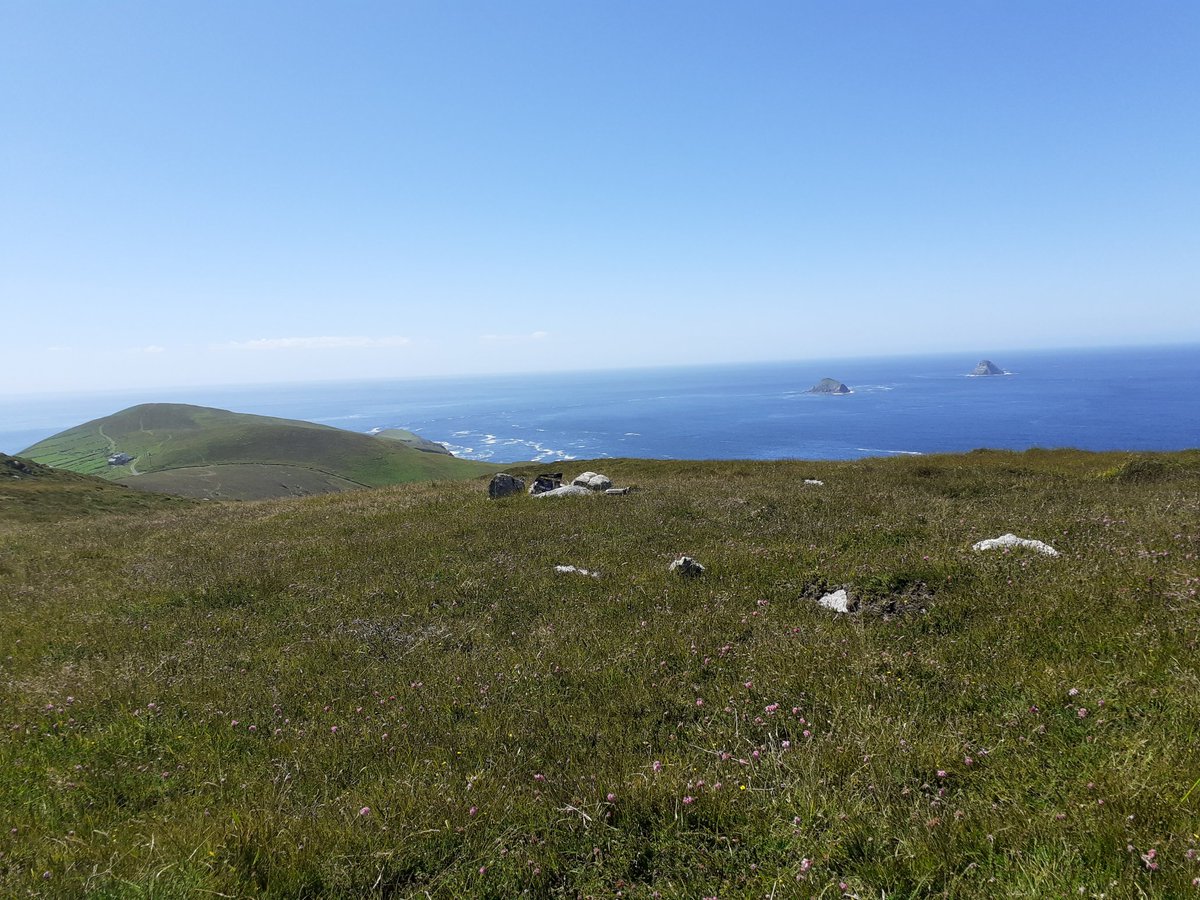 GerardPHorgan's tweet photo. Current view on Dursey Island - we've rarely seen a day like this...What a place it is. #DurseyIsland #WildAtlanticWay #Covid19Ireland #ThePositiveBlog @UCC @UCCWellDev https://t.co/Xsa6jYFVTI