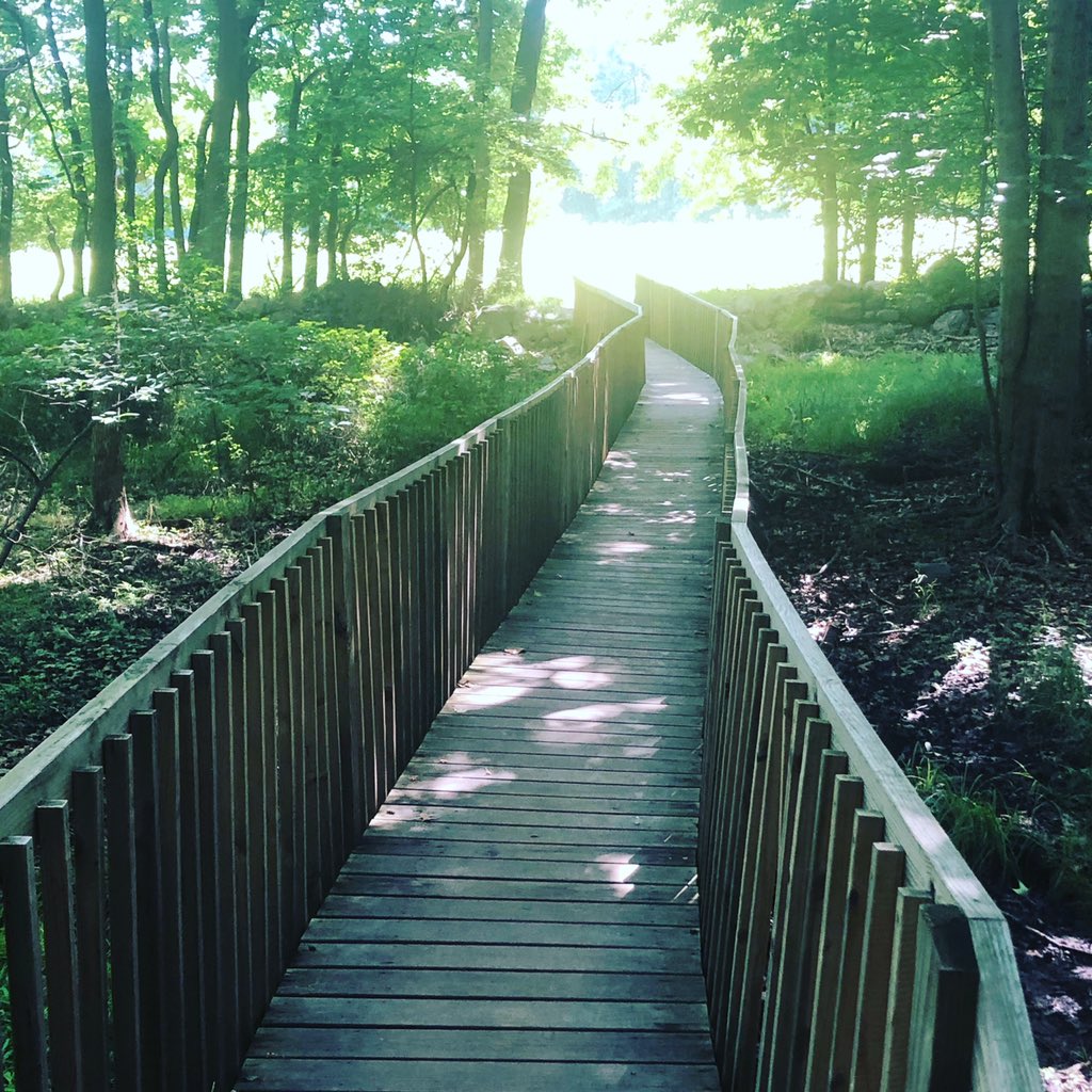 katiegoldstein2's tweet photo. Honored the life &amp; legacy of Tom Waters @slowboring, lost to COVID, by taking a walk while many others took walks to remember him yesterday. Can’t wait to be in a dark bar with weird music with the whole tenant movement someday to honor him. https://t.co/w9kGMuvykI