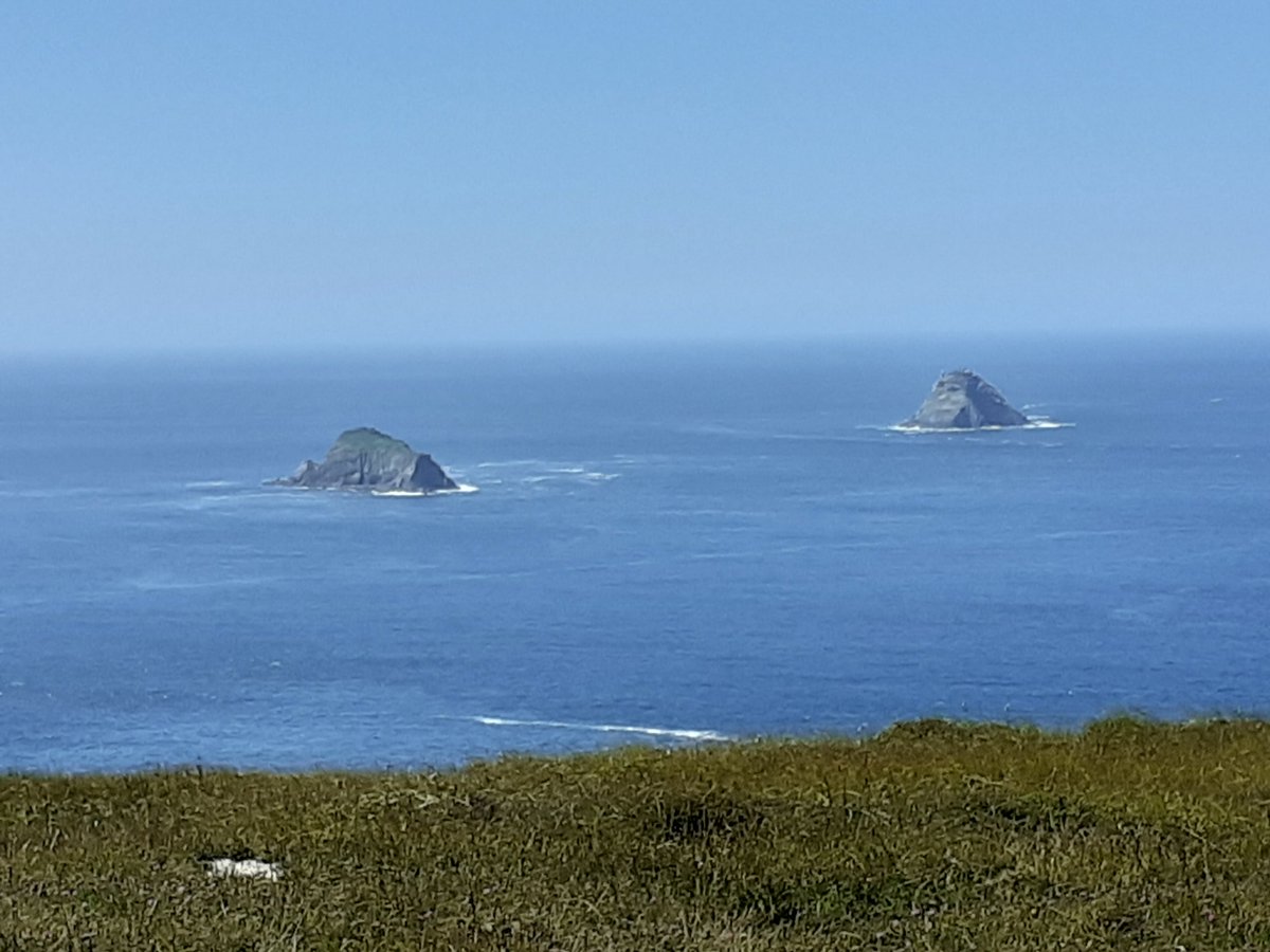 GerardPHorgan's tweet photo. Current view on Dursey Island - we've rarely seen a day like this...What a place it is. #DurseyIsland #WildAtlanticWay #Covid19Ireland #ThePositiveBlog @UCC @UCCWellDev https://t.co/Xsa6jYFVTI