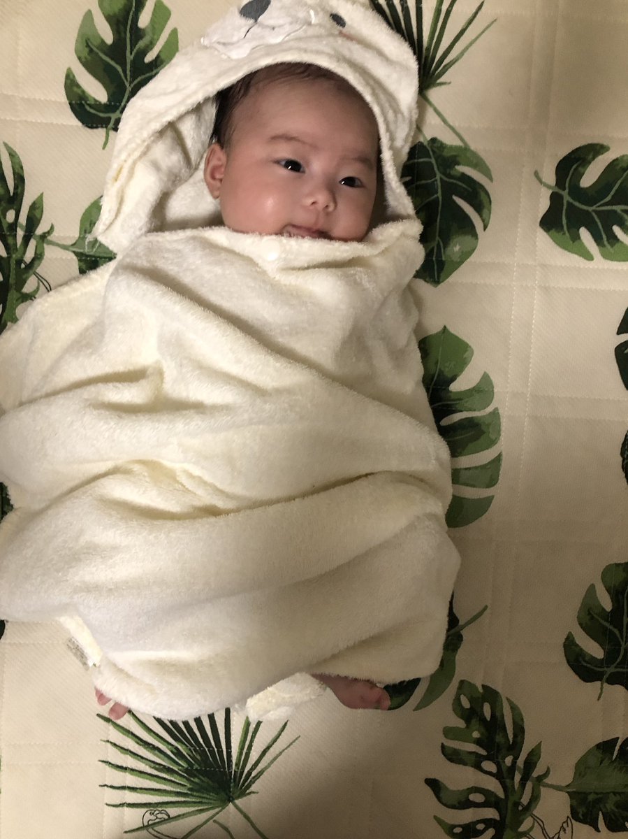 25Teppei's tweet photo. 花愛ちゃん今日で2ヶ月✌️
これからも元気にスクスク育ってください🤤 https://t.co/1PwVXNR69q