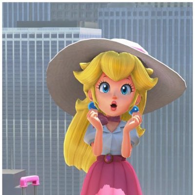 NintendoDames tweet picture