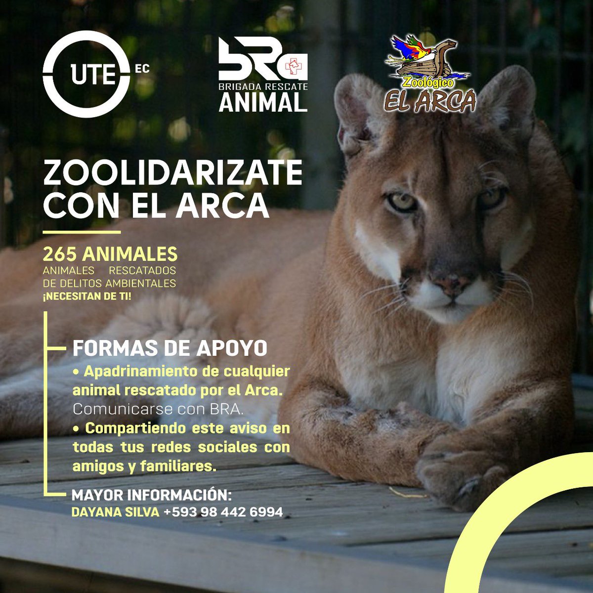 Universidad UTE tweet media