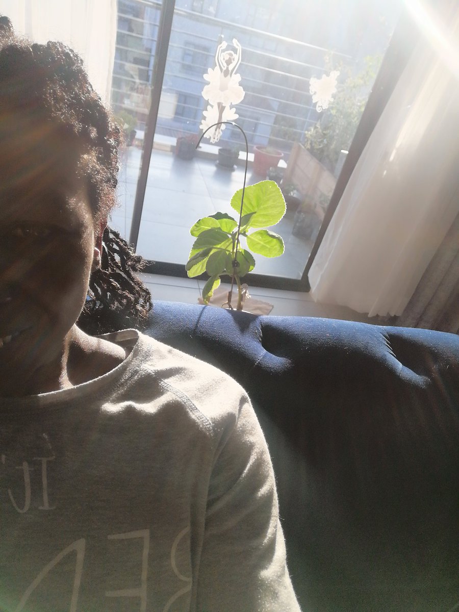 ThandoBlackD's tweet photo. Favorite time of the day 🌻🙂🌱🌞 https://t.co/AbpIIeAMSI