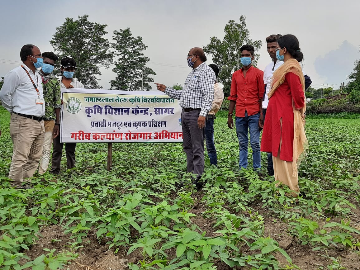 CBC_MIB's tweet photo. #GaribKalyanRozgarAbhiyaan aims to empower &amp; provide livelihood opportunities to returnee #MigrantWorkers &amp; rural citizens.

Krishi Vigyan Kendras have begun to conduct training sessions in villages of #MadhyaPradesh.

#AatmaNirbharBharat

📷: @ROBBhopal https://t.co/XLOeR4LvNy