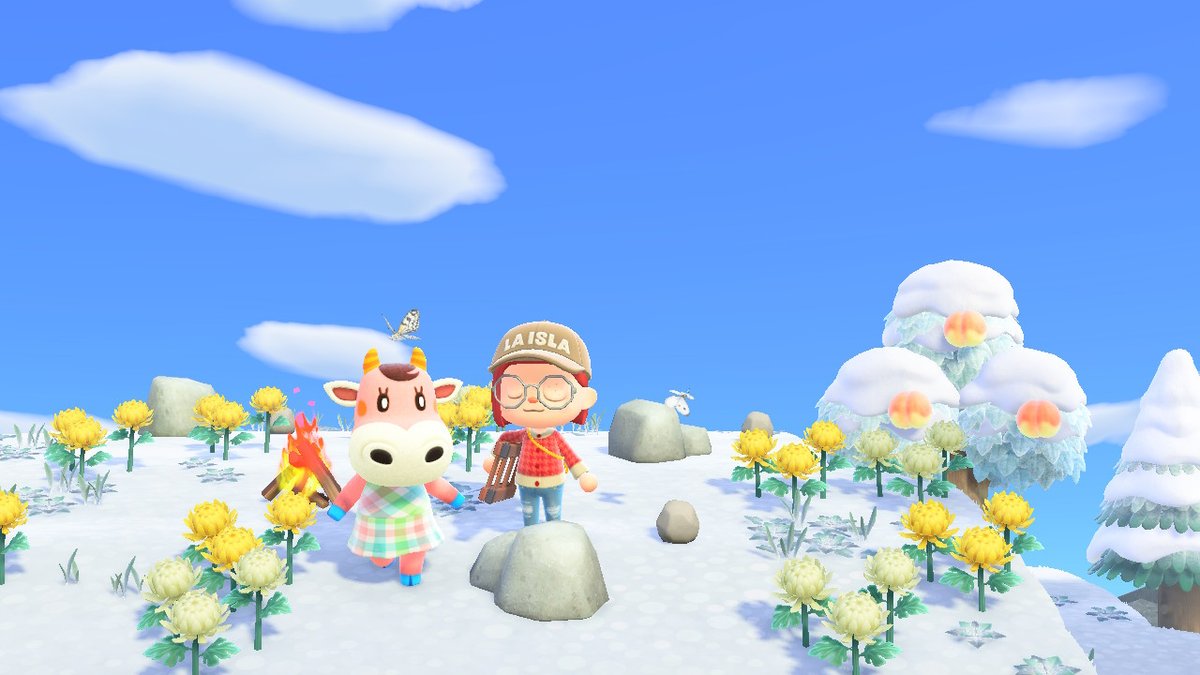 vi0531's tweet photo. #動物森友會 #AnimalCrossing #ACNH #NintendoSwitch https://t.co/L5kytiBqV1