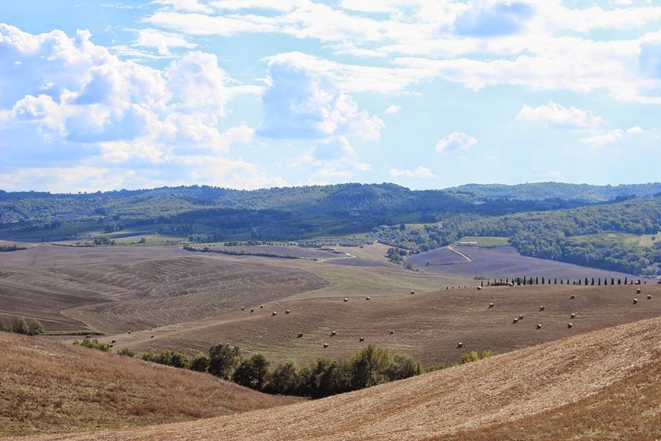 Golden waves 🌾🚴‍♂️🚴‍♀️
.
#sunnyday #slowtraveling #Sienabiketour #siena #ioete
#cretesenesi #goodvibes #goodmorning #sunday #estate #summer #mindfulness #tuscany #ebiketour #experience