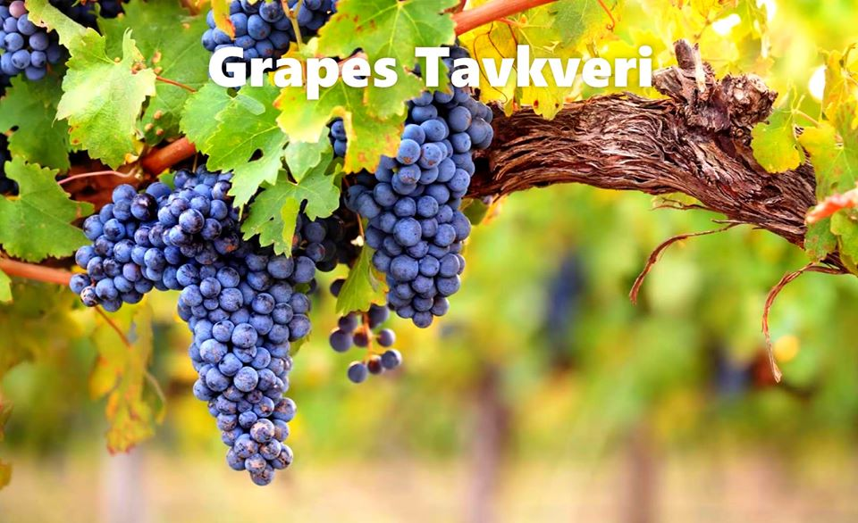 GeorgiaWineland's tweet photo. 🇬🇪🍷Famous American magazine Esquire has made Georgian wine-Tears of a pheasant ''Tavkveri'' one of the best natural wines in the world.
Wine: Red-Dry
Grapes: Tavkveri
Region: Kartli-Georgia
Producer: Pheasant's Tears Winery
Strength: 12%
Volume: 0.75 L
Price-From 2️⃣0️⃣ $ https://t.co/cueH7WgOYX