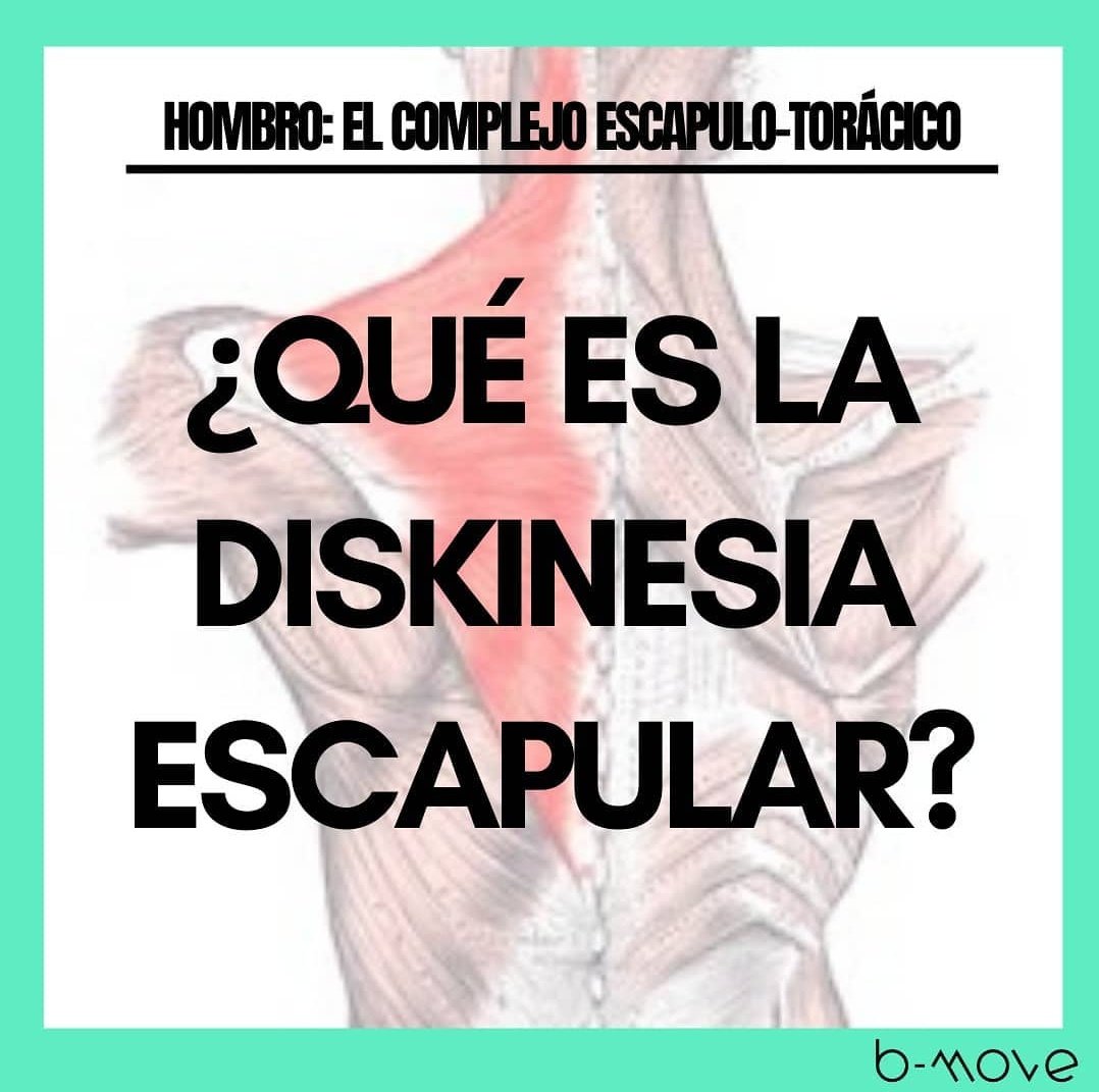 BMove_Center's tweet photo. ⚠️¿LESIONES FRECUENTES DE HOMBRO?⬇️

Esta alteración  puede darse con relativa frecuencia en deportistas OVERHEAD. Es decir, aquellos que realizan un gesto técnico que implica el movimiento del brazo por encima de la cabeza.

No te pierdas nuestro post.. https://t.co/Bj3bG1X9DB https://t.co/SjivDXETra
