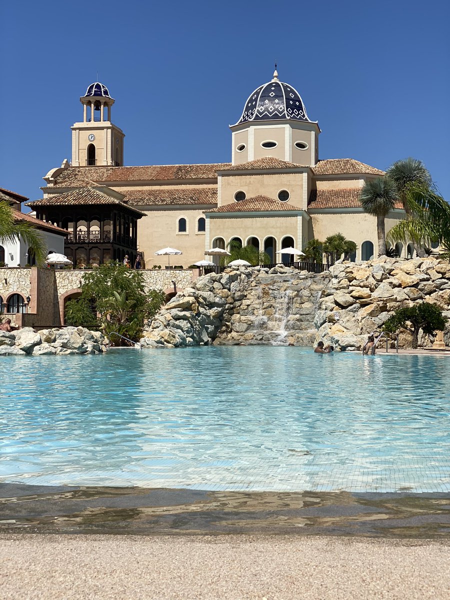 Harley Araujo tweet media