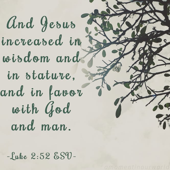 ACCI_UK's tweet photo. One of our key scriptures today
#keyscripture #stature #priceofauthority #authority #obidience #Jesus #luke https://t.co/yRRWimwg3K