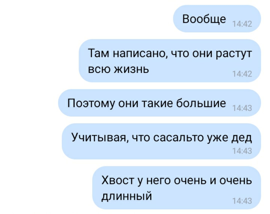 GaysRoyal's tweet photo. Альто все такой же мелкий чилипиздрик, даже Эпон несколько выше его. А вот хвост, в который могут сростаться его ноги, длинный, что будь здоров https://t.co/Fjvxd6VUYR
