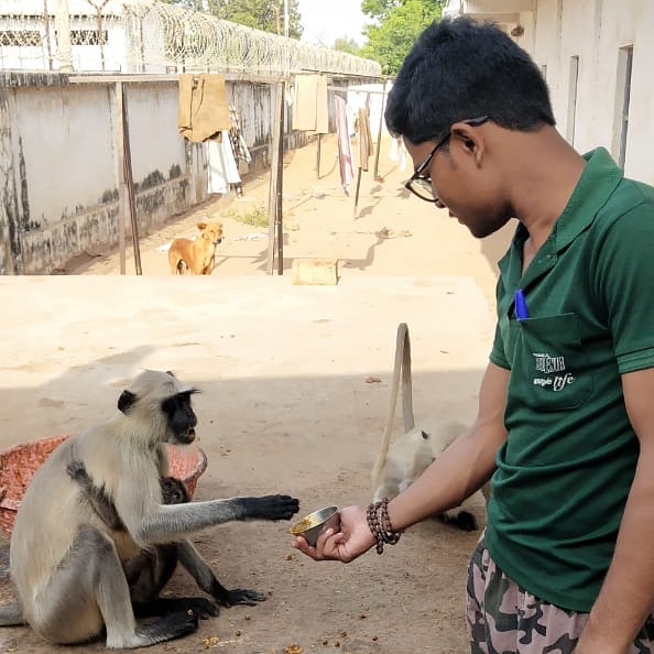 vaghelaharshit7's tweet photo. #hanumanlangur #monkey #babymonkey #semnopithecus #langur #nature #dogs #dogsoftwitter #animals #wildlife #worldprotector #Mission_of_world_protection #wildlifephotography #NaturePhotography
#Animal_And_Bird_Love_of_Harshit_Vaghela
#અતીત_ની_પોટલી(#Biography_of_Harshit_Vaghela) https://t.co/i23Z245hyv