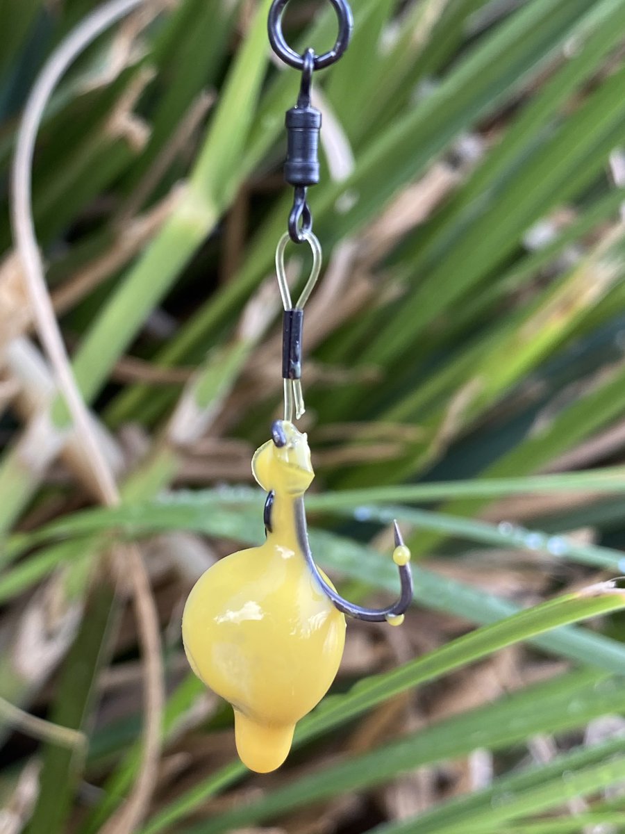 simonpearson8's tweet photo. Off to a flying start with this low 30 on the opening of the new avenue season. @MainlineBaits essential Cell single smothered in smart liquid #essentialcell #smartliquid https://t.co/MWKROS7UBQ