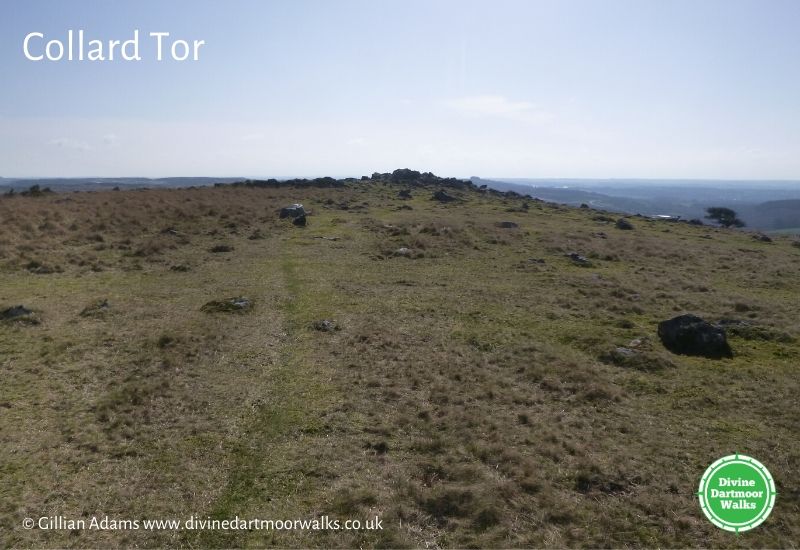 DivineDartmoor's tweet photo. This walk near Wotter makes for a lovely afternoon stroll... #dartmoor #wotter #walking #walks #getoutdoors https://t.co/aKHYEPsA5H https://t.co/8FJSZgPhr6