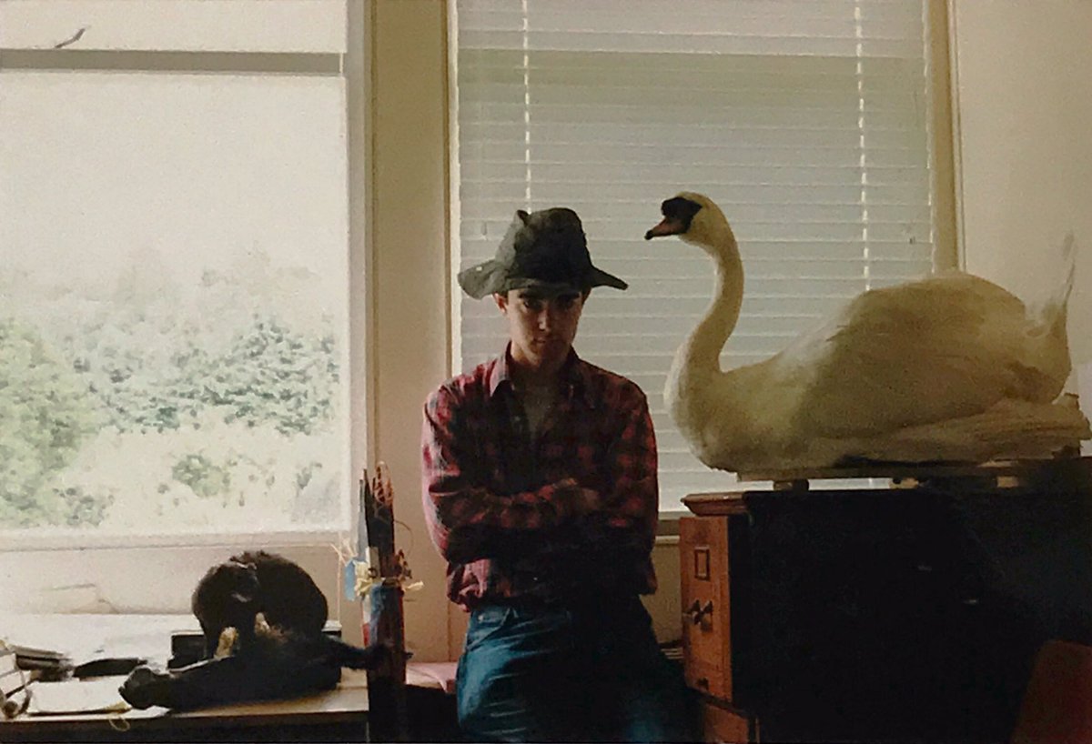 I was lucky enough to train both as a scientist & a historian. The key thing with training is you learn context, you gather facts, you interpret neutrally, you cite what others believe & you gather up the details to chart what, in your honest & fact-based view, happened.