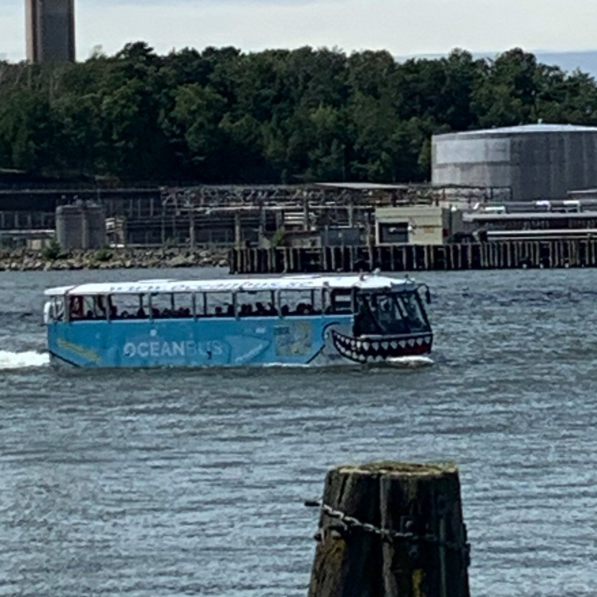 kasslerGBG's tweet photo. Är inte detta lite typiskt Göteborgskt säg ? #oceanbus #hajbuss https://t.co/TFNsBCws3M