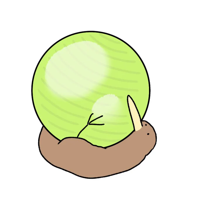 ヨガボールを使いこなせないキーウィ 