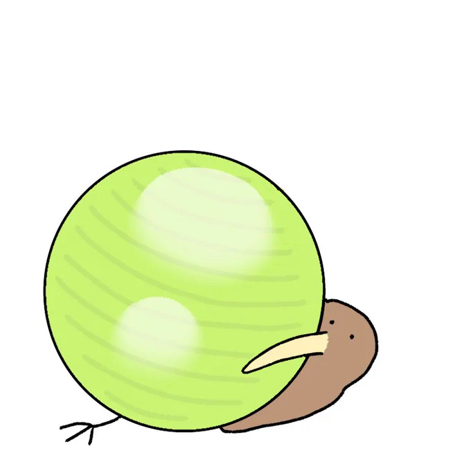 ヨガボールを使いこなせないキーウィ 