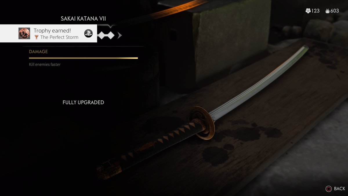 Alex Deida tweet media