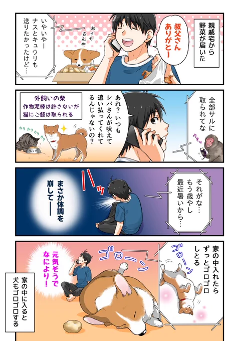 番犬のシバさん 