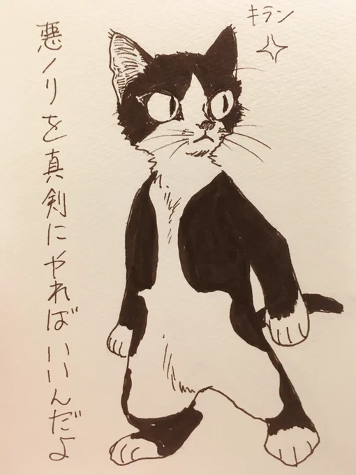 自分メモ 