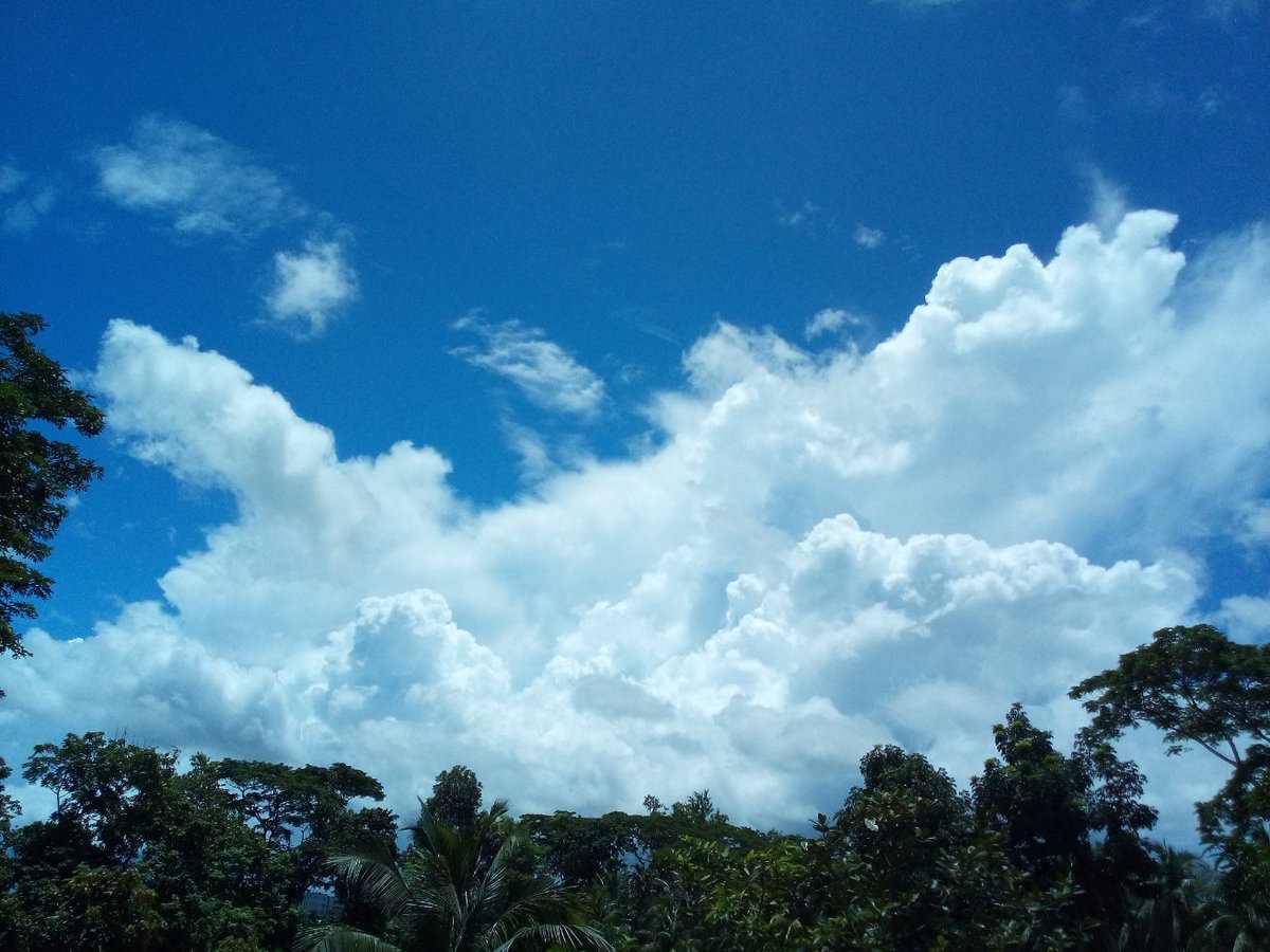 Nishuetic's tweet photo. #sundayvibes #Afternoondelight https://t.co/oXhyR77tsh