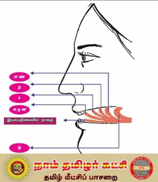 Saravanan_Nata's tweet photo. முதல்ல இத கத்துக்கனும் பா எல்லாரும்.. 🤗 https://t.co/nBi2wxHauz