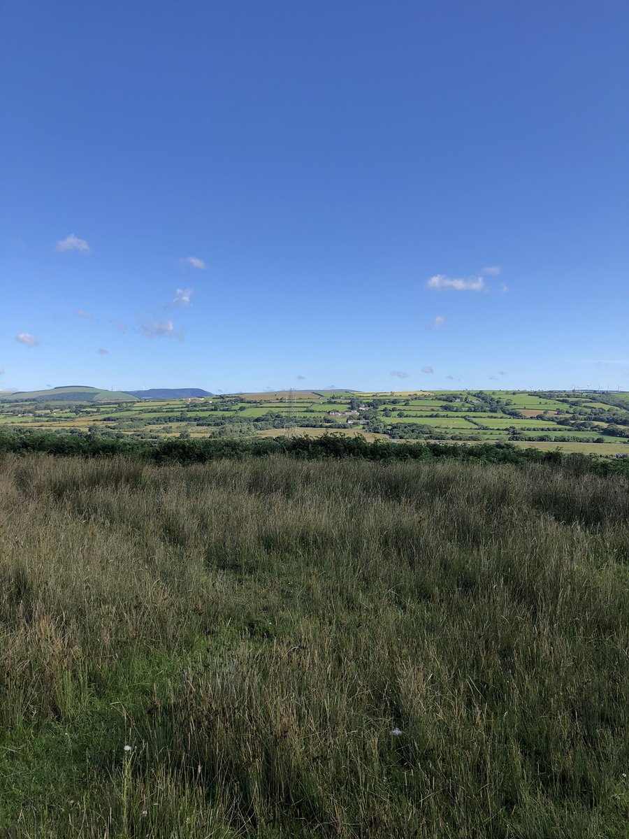 lilcoitykitchen's tweet photo. Had an awesome morning doing some running with my buddy @JenniferSian86 (Jen keeps me moving!), we did some sickening hills today 🥵🤢 bit of trail, bit of road, was good!!! Nearly 12k!! 🥇🏃‍♀️😳🤘 and there were ponies and mud, yay! #running #headspace #mud #trailrules #hillssuck https://t.co/bEmnTGcSdN