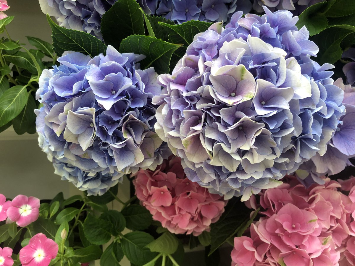 o5_MOCHA's tweet photo. こんばんは🌠
涼しい日が続いて快適でしたが、今日から暑くなりましたね☀️✨
お疲れ様でした(^^)🍺
熱中症等に気をつけていきましょう🐳
今日もありがとうです😊 https://t.co/1U57HZKftL