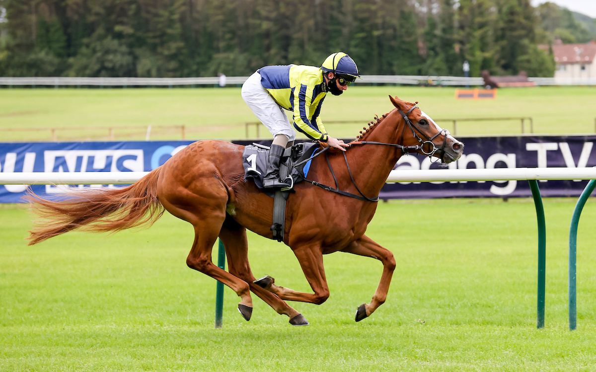 ayrracecourse's tweet photo. Looking forward to exciting 9 race card @CHBMedical #keepingscotlandsafe raceday @ayrracecourse tomorrow with first race due off at 12.45pm recent course winner @DalgleishRacing's Pour Me A Drink runs in the feature race the Thanks To NHS And Frontline Workers Handicap at 4.20pm https://t.co/kXQX03WM8j