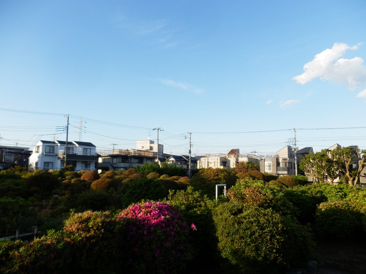taikisasaki's tweet photo. 現在、国分君&イノッチがロケで訪れている世田谷区北烏山界隈の昨年のGWの画像をご覧下さい(今年の画像はございません。昨年まであまりに近所ww 過ぎたので地元的な「中央高速高架下」と延々田畑や林な写真も全然サルベできず…猛省)#鉄腕DASH #THE鉄腕DASH #tetsuwandash #tetsuwan #ntv https://t.co/cVlbVRrhEn