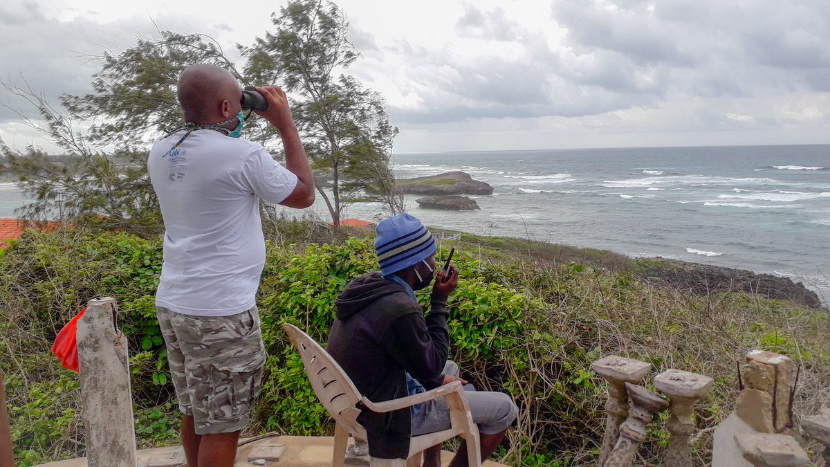 WatamuMarine's tweet photo. Welcome the whales this week in Kenya. Research, conservation and tourism the perfect model to encourage visitors to the Kenyan coast.
9 whales #Watamu 5 whales travelling from #Pemba 
Just in time for the #TwinMigration Whales to Wildebeest 🐳🐮 @Min_TourismKE
@GiraffeCenter https://t.co/z0AxprTjPG