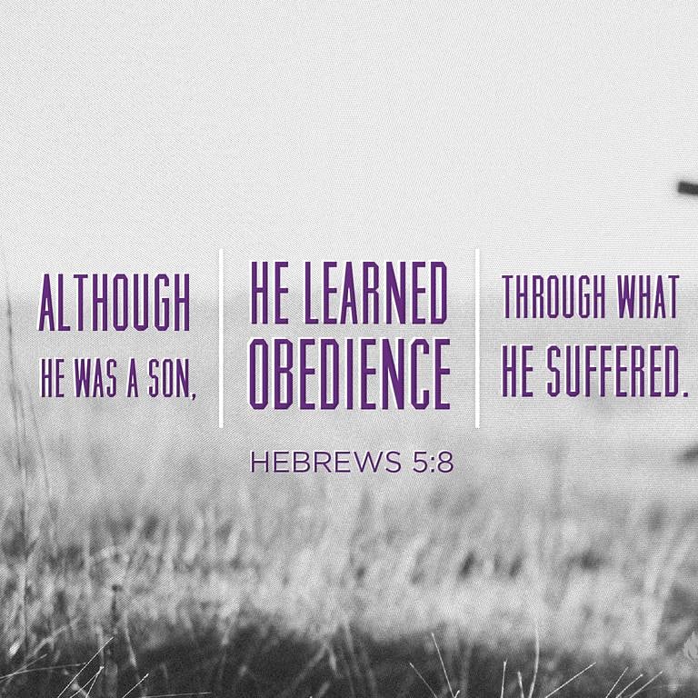 ACCI_UK's tweet photo. #keyscripture #Bible #obidience #scripture #SundayService #SundaySermon https://t.co/WMD6UQnB3I