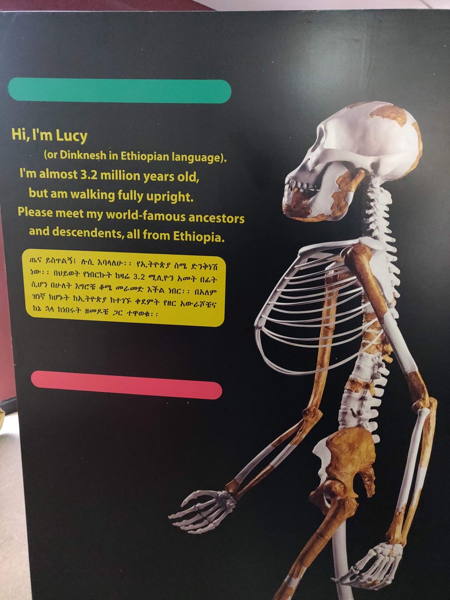 As a Kenyan, I am used to this whole Africa is the source of humankind stuff so didn't give it much attention but when I started reading about the story of Lucy I was really intrigued and became interested to learn more. Take time and read about LUCY make google your friend.