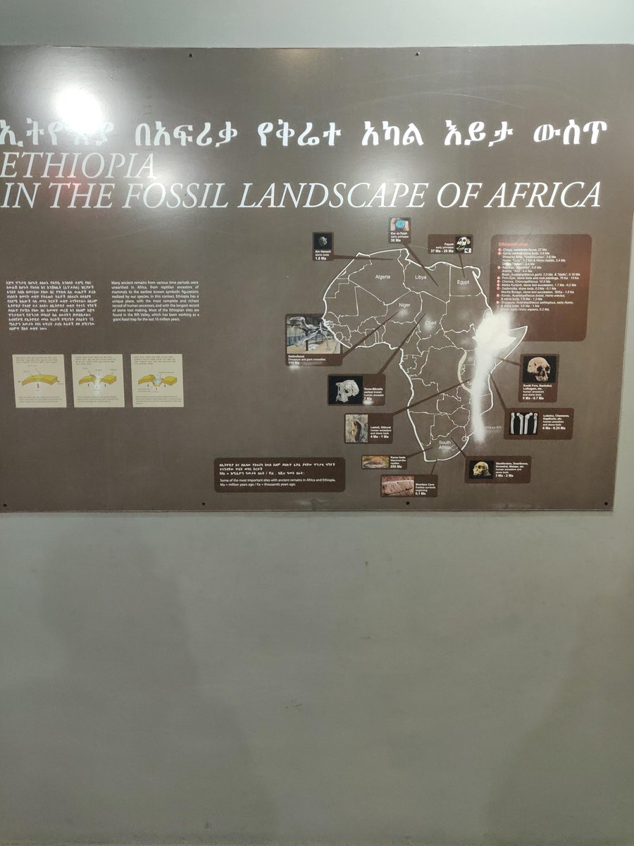 As a Kenyan, I am used to this whole Africa is the source of humankind stuff so didn't give it much attention but when I started reading about the story of Lucy I was really intrigued and became interested to learn more. Take time and read about LUCY make google your friend.