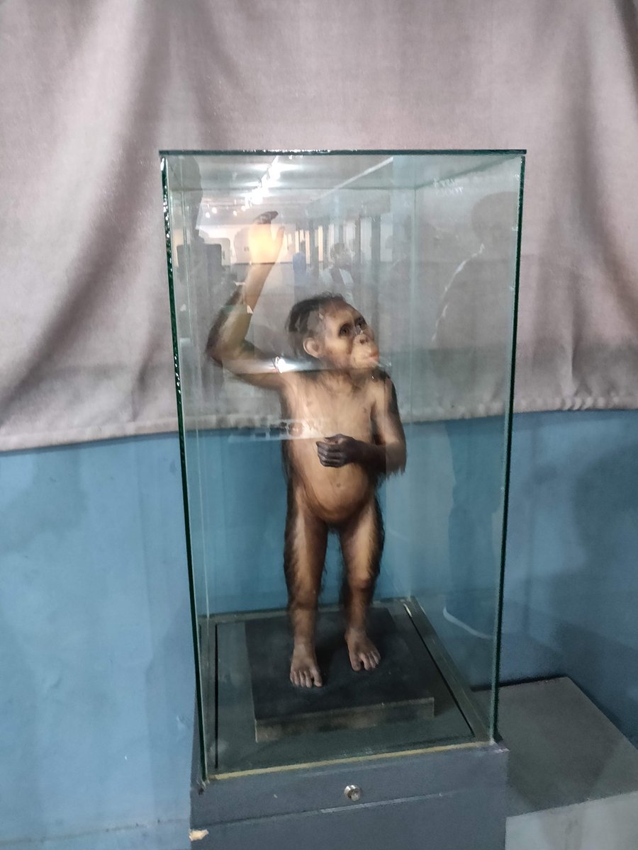 As a Kenyan, I am used to this whole Africa is the source of humankind stuff so didn't give it much attention but when I started reading about the story of Lucy I was really intrigued and became interested to learn more. Take time and read about LUCY make google your friend.