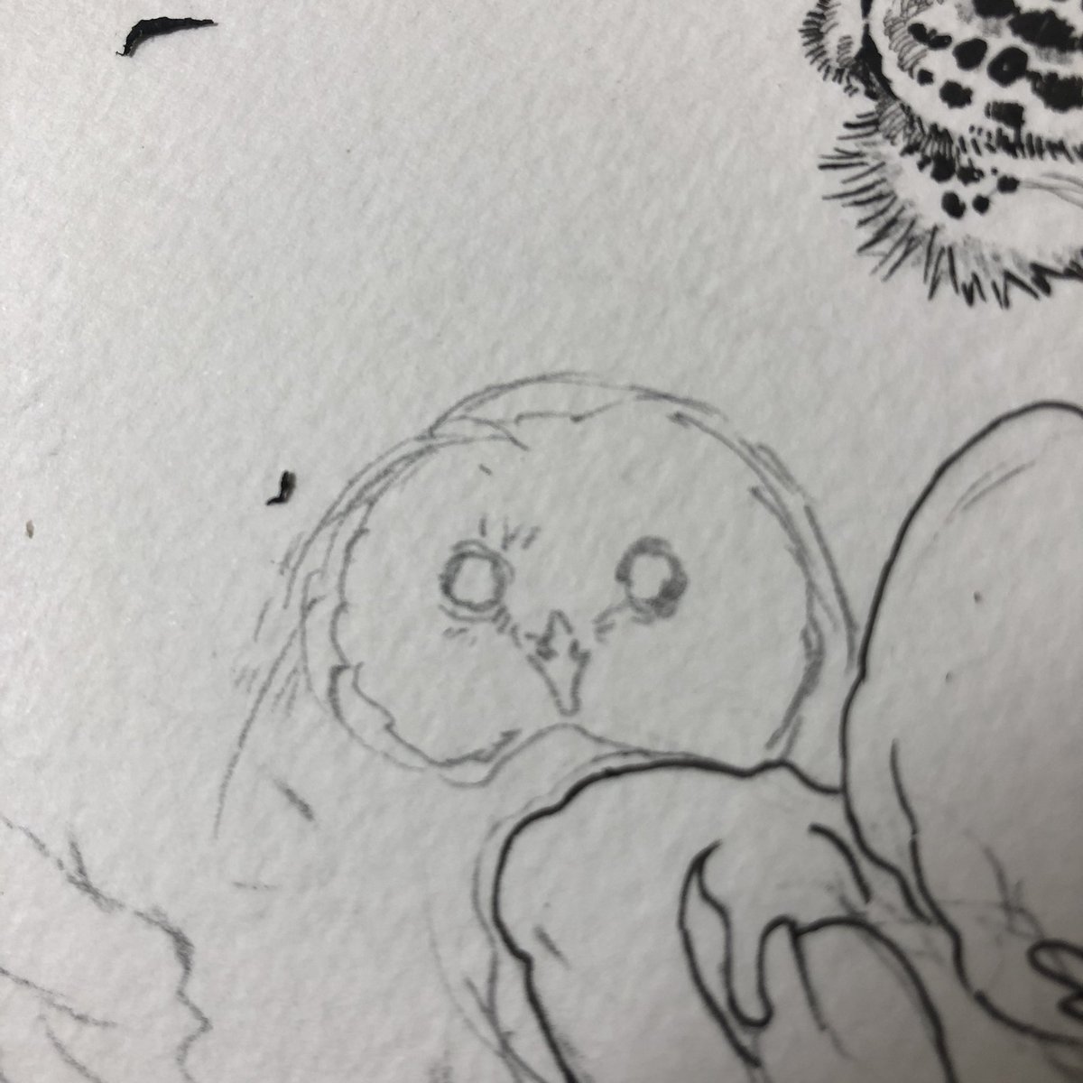 もうつかれてきた 