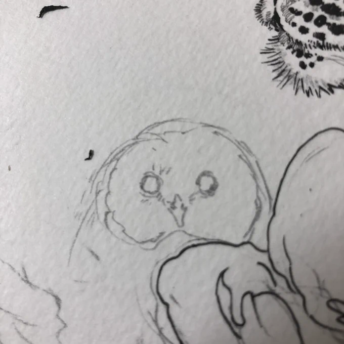 もうつかれてきた 