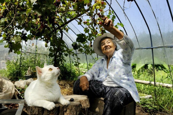 Japanese photographer Miyoko Ihara documented the relationship between her grandmother and her beloved cat #womensart