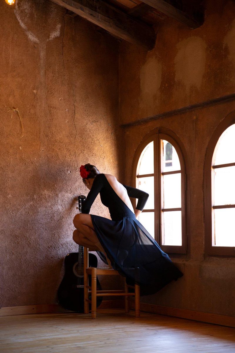 Museu d'Alcover tweet media