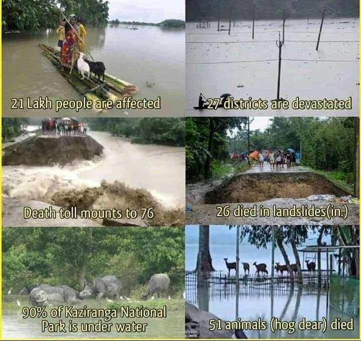 MrigenDas17's tweet photo. Isn't Assam a little part of India? Why media is too busy to take some nonsense news? Our DIVERSE country, because they care for all, 🙂 LOL. Only focus and cheers for Delhi Mumbai and all?
#pray_for_Assam🙏
@PMOIndia @rashtrapatibhvn @sakshijoshii @ArnabGoswamiRTV https://t.co/3KUrUa5Gpu