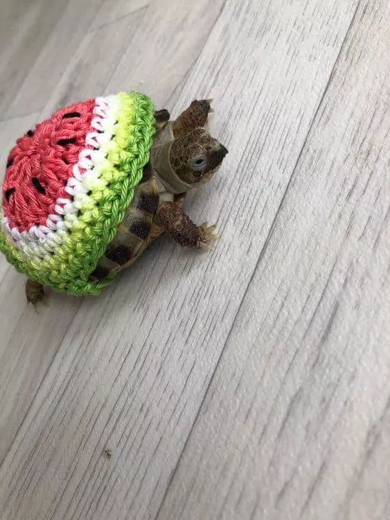 114,3% agressiva tweet media