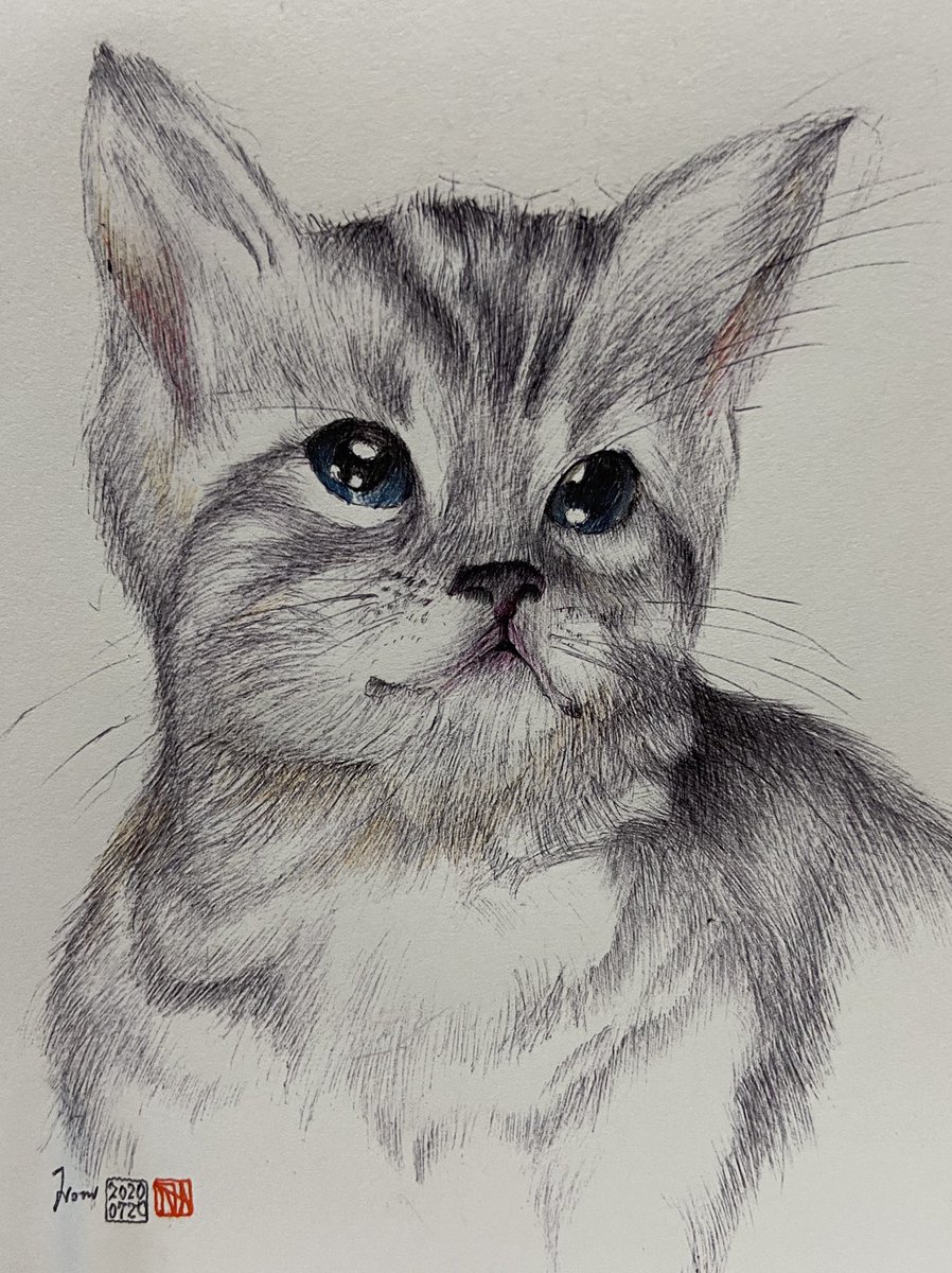 のん ボールペンで落書きの人 Giun504id1nz2sx Twitter